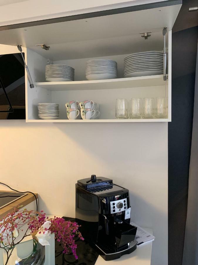 Luxus Appartement Bruehlervorstadt Erfurt Esterno foto